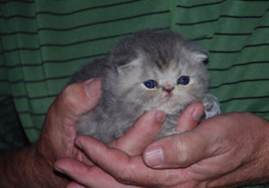 BeBe at 3 weeks
